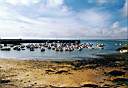Le port de Trévignon - Finistère